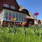 Hues Sanskiin *eerdglueper* Suddorf