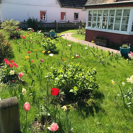 Apartman Hues Sanskiin *eerdglueper* *