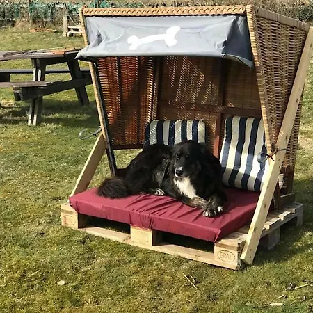 Hues Sanskiin *eerdglueper* * Suddorf