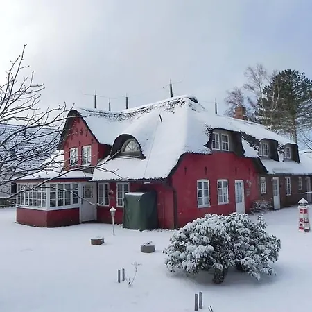 Hues Sanskiin *eerdglueper* Suddorf