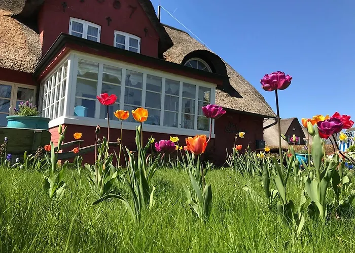 Hues Sanskiin *eerdglueper* Suddorf