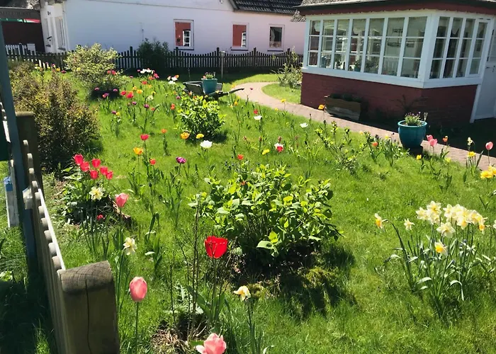 Hues Sanskiin *eerdglueper* * Suddorf